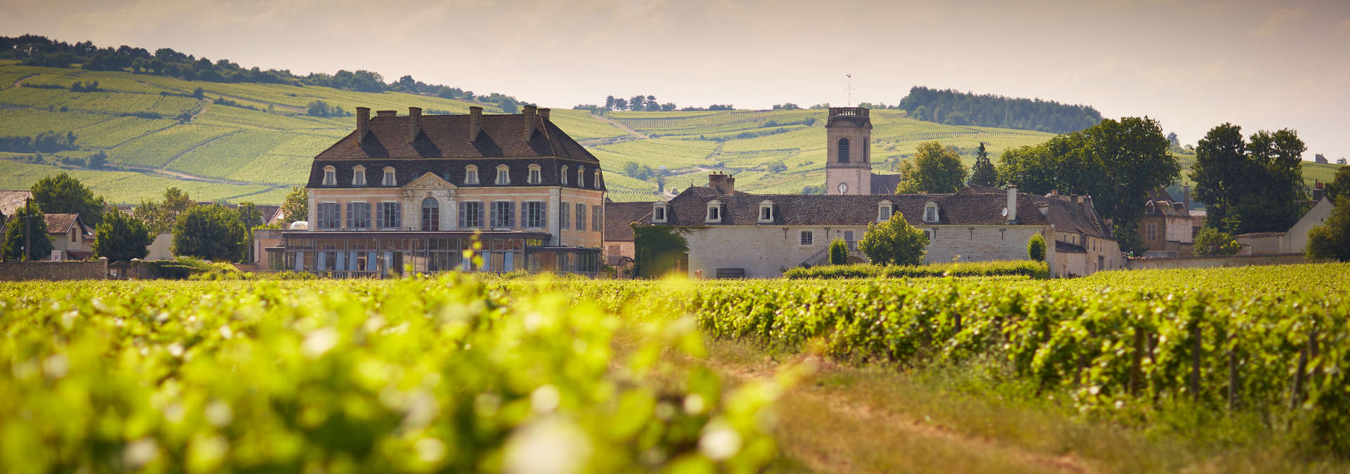 波玛酒庄(chateau de pommard)位于法国勃艮第(burgundy)产区波玛镇