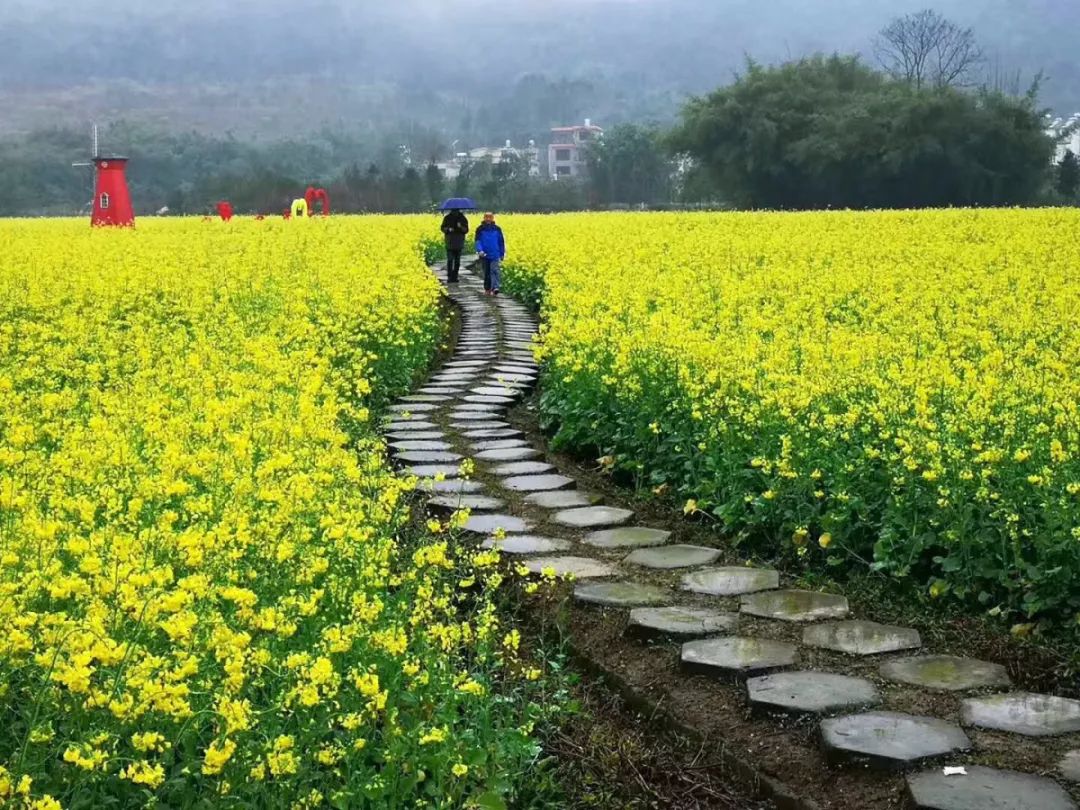 8女神节驾到!曲江这个地方拍照/踏青/赏花/休闲样样都能满足你