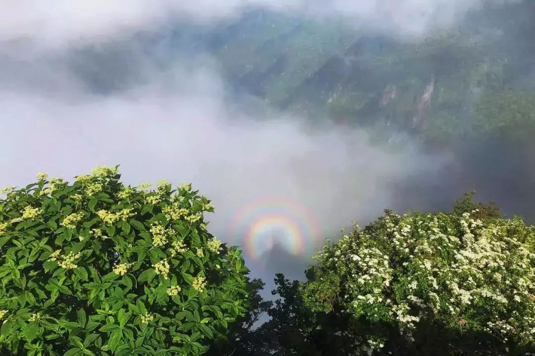 七彩佛光,雲海翻湧,這座世界自然遺產