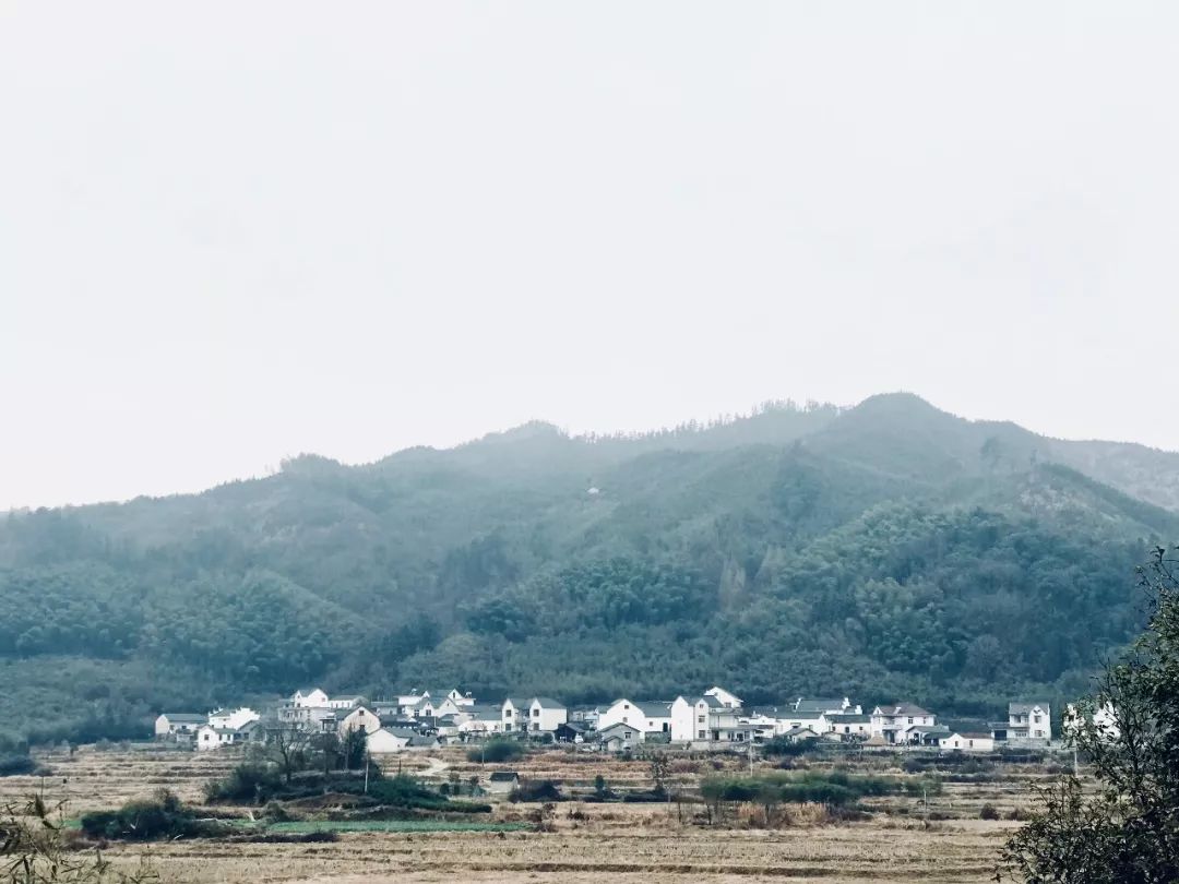 面对那美如斯的湖畔乡土 在新华乡的山居岁月的确能让走路都成为让人