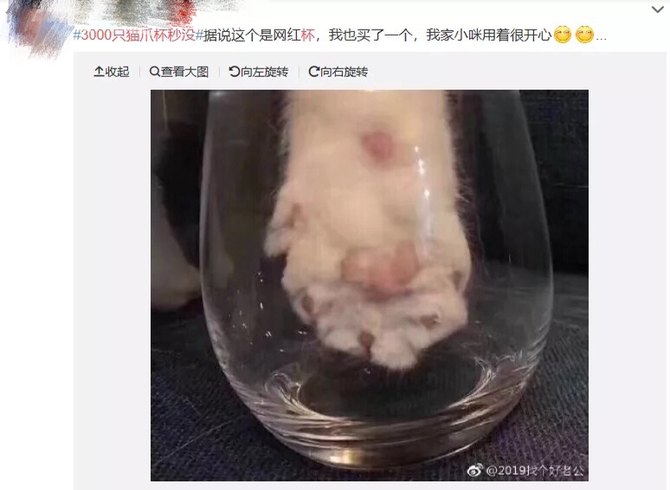 猫爪杯为什么这么火？一个玻璃杯售价从199元涨到了600元？