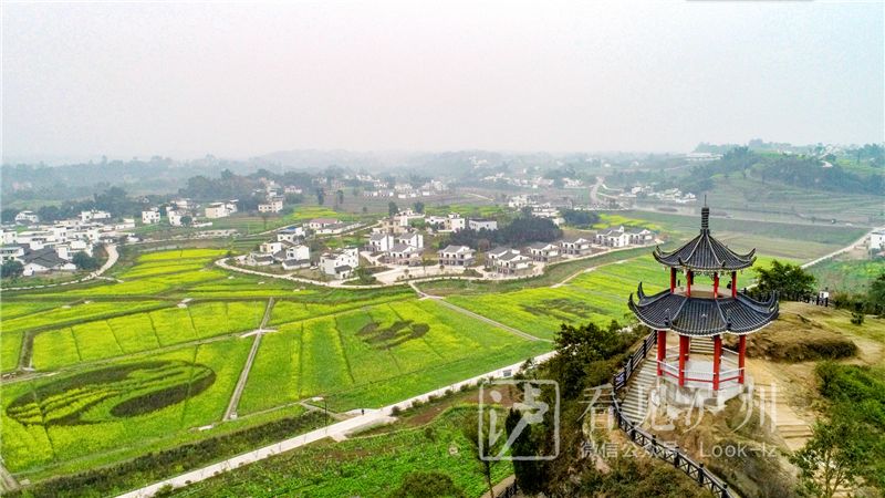 泸州弥陀油菜花景点图片