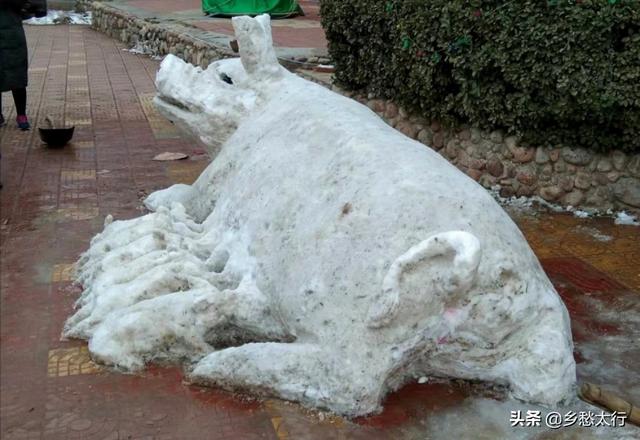 简单堆雪猪图片大全图片