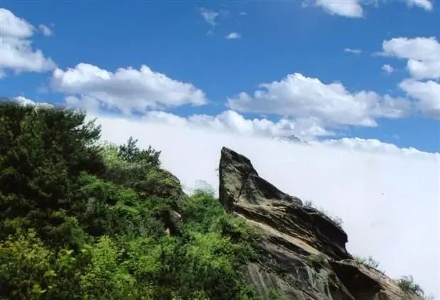 關注| 這裡有一張通往漢陰油菜花海的地圖送給您