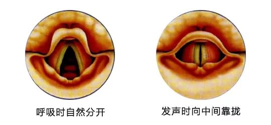 聲樂第7課鍛鍊聲帶閉合能力