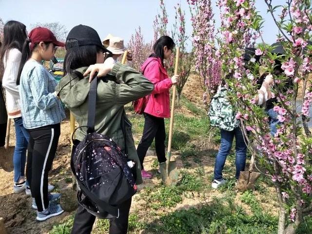 即日起至4月12日,感興趣的市民可以通過