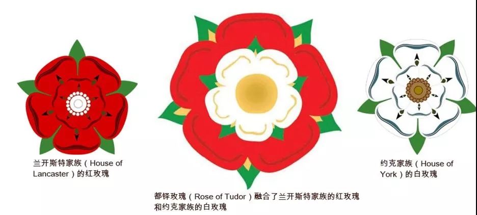 此名称源于两个家族所选的家徽,兰开斯特的红蔷薇和约克的白蔷薇