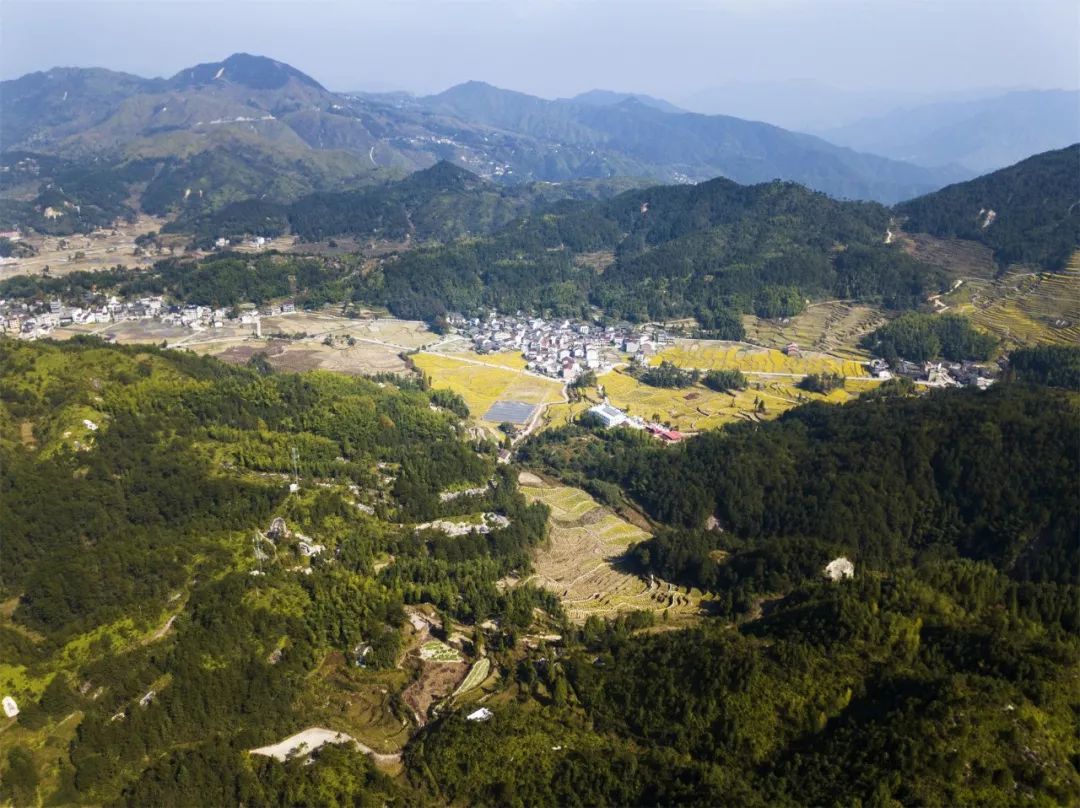 推荐地:陈宅村