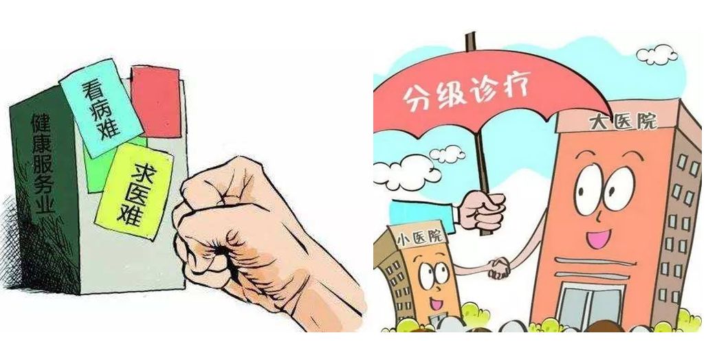 图文:廖文卿 编辑:陶建明 审核:张辉,张红春返回搜狐,查看更多