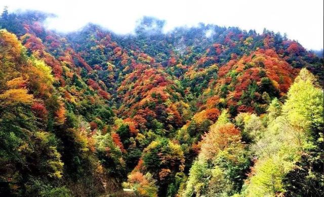 龍門山西北側,摩天嶺南麓,北連甘肅省文縣境白水江國家級自然保護區