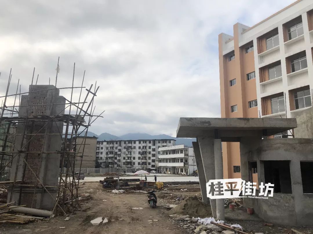 桂平市凤凰小学图片