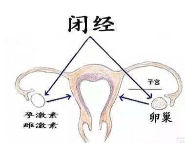 哪家好!女生不孕不育的前兆