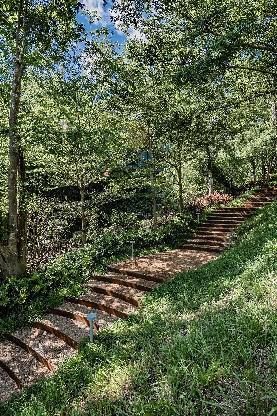 与山林,溪谷,飞鸟共居 万科森林湿地公园,三亚 源点设计