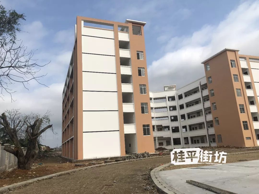 桂平市凤凰小学图片