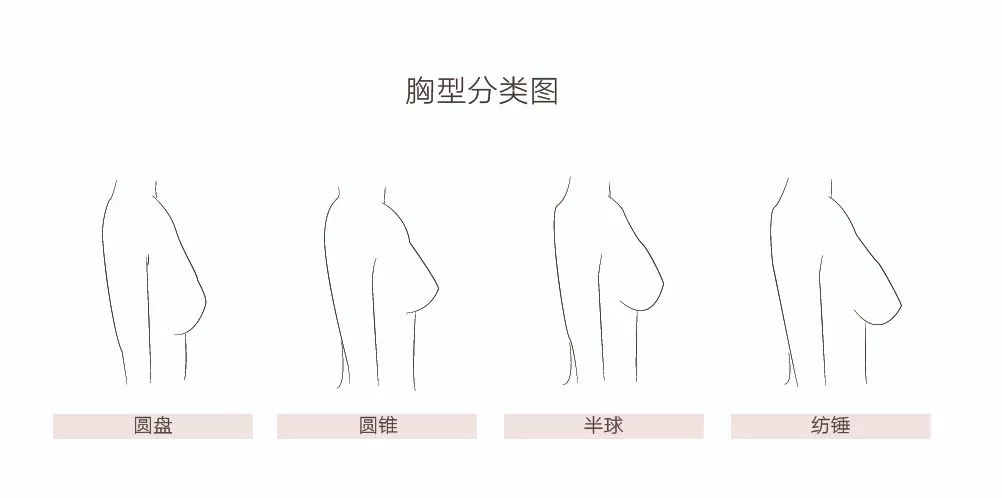 乳房形状分为图片