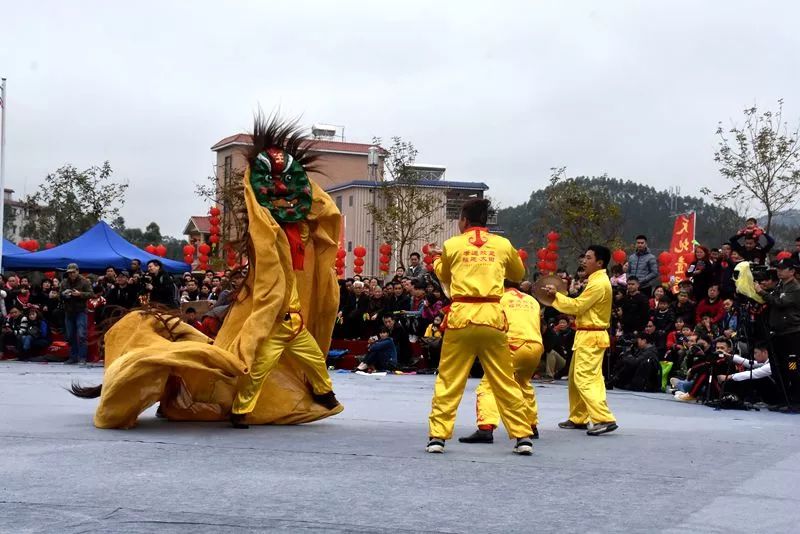 狮队,聚集在这个以独特的客家民俗—豆腐节和古朴雅致的客家民居而