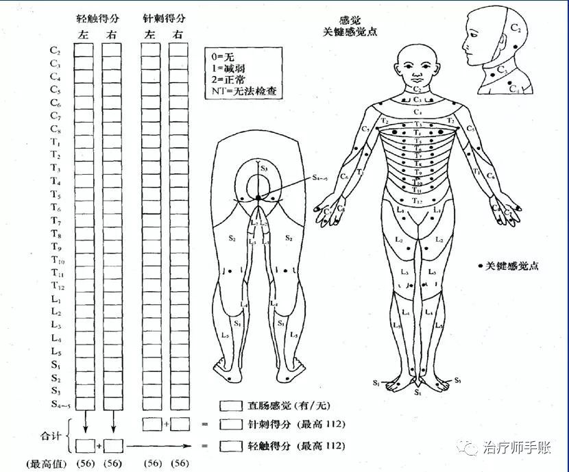 该平面以上感觉和运动功能正常(完整,如c6损伤意味着c6及c6以上仍然