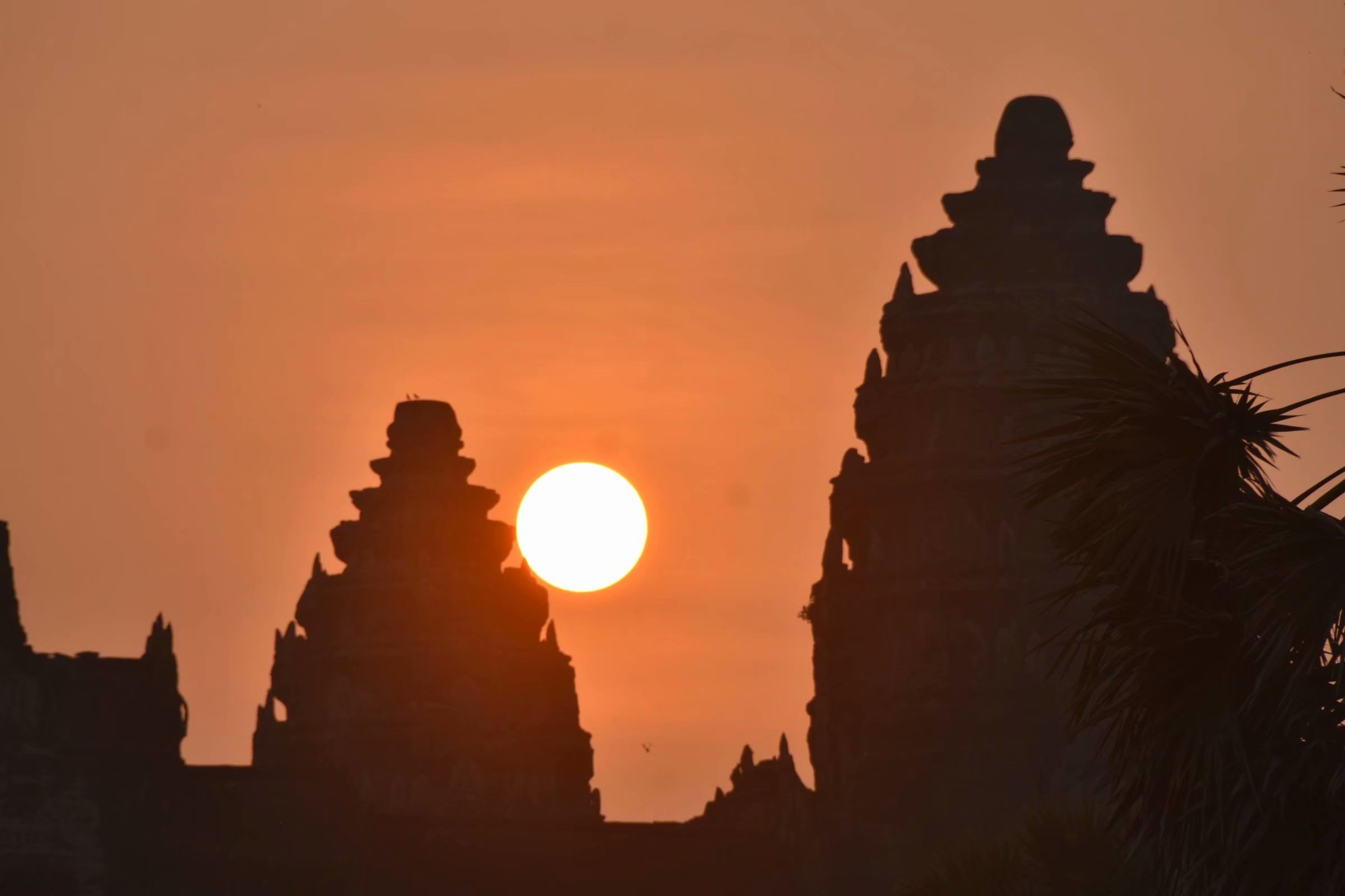 这样的柬埔寨你去干嘛吴哥寺日出忽悠了多少人