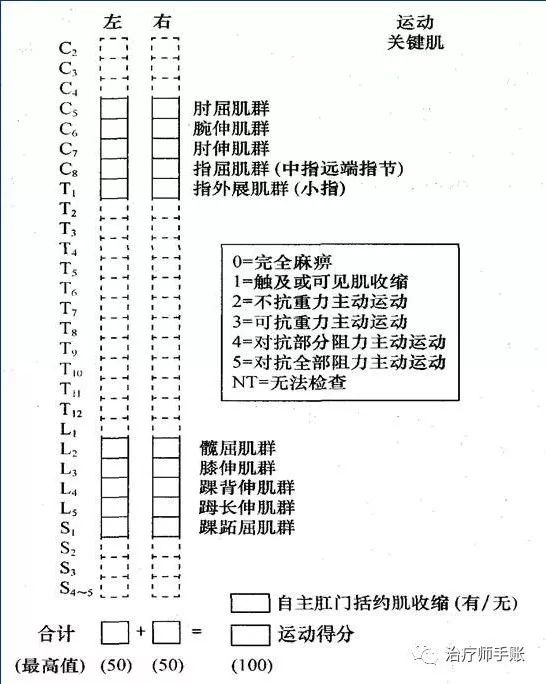 脊髓损伤平面确定图片