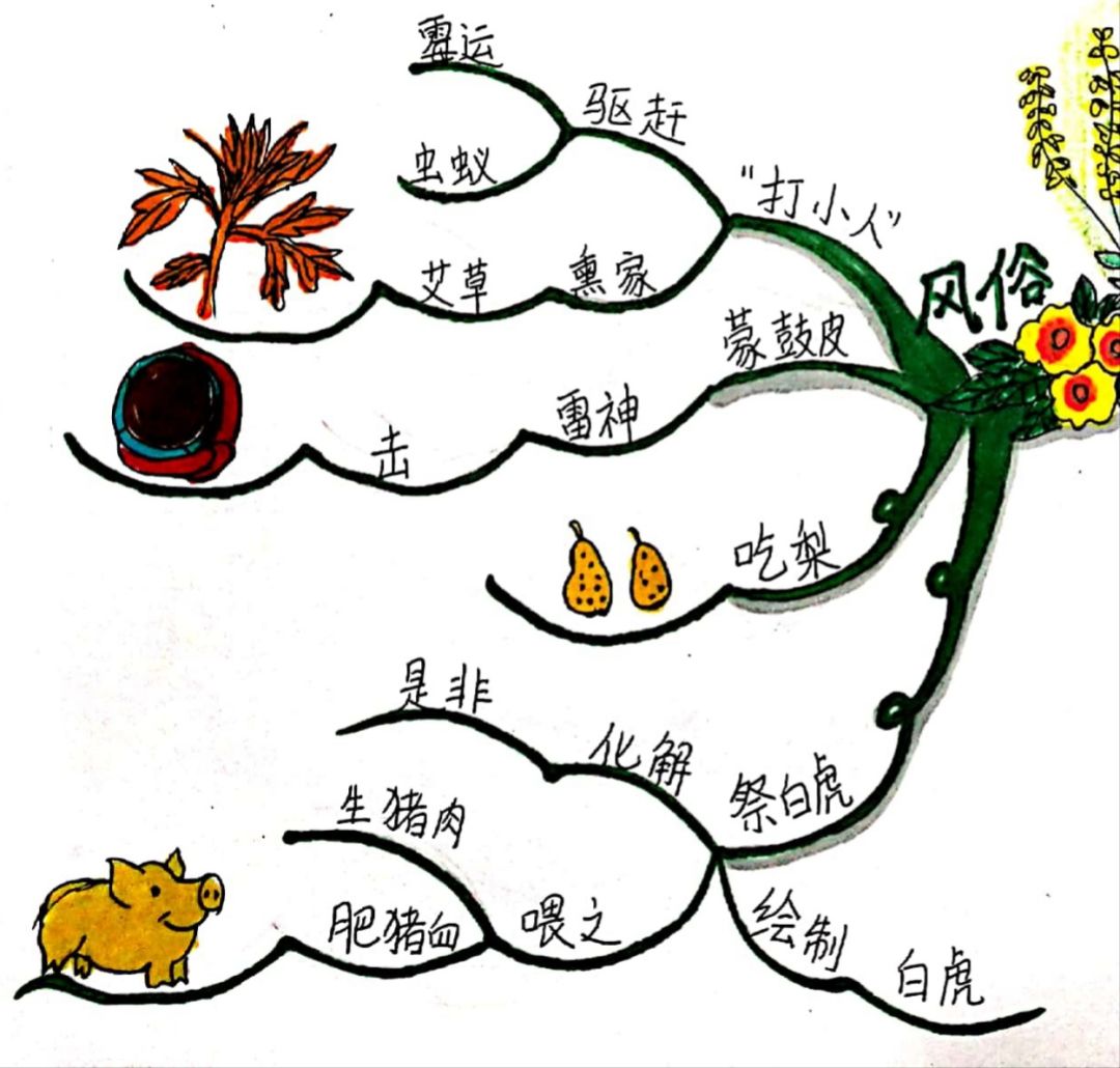 惊蛰的思维导图怎么画图片