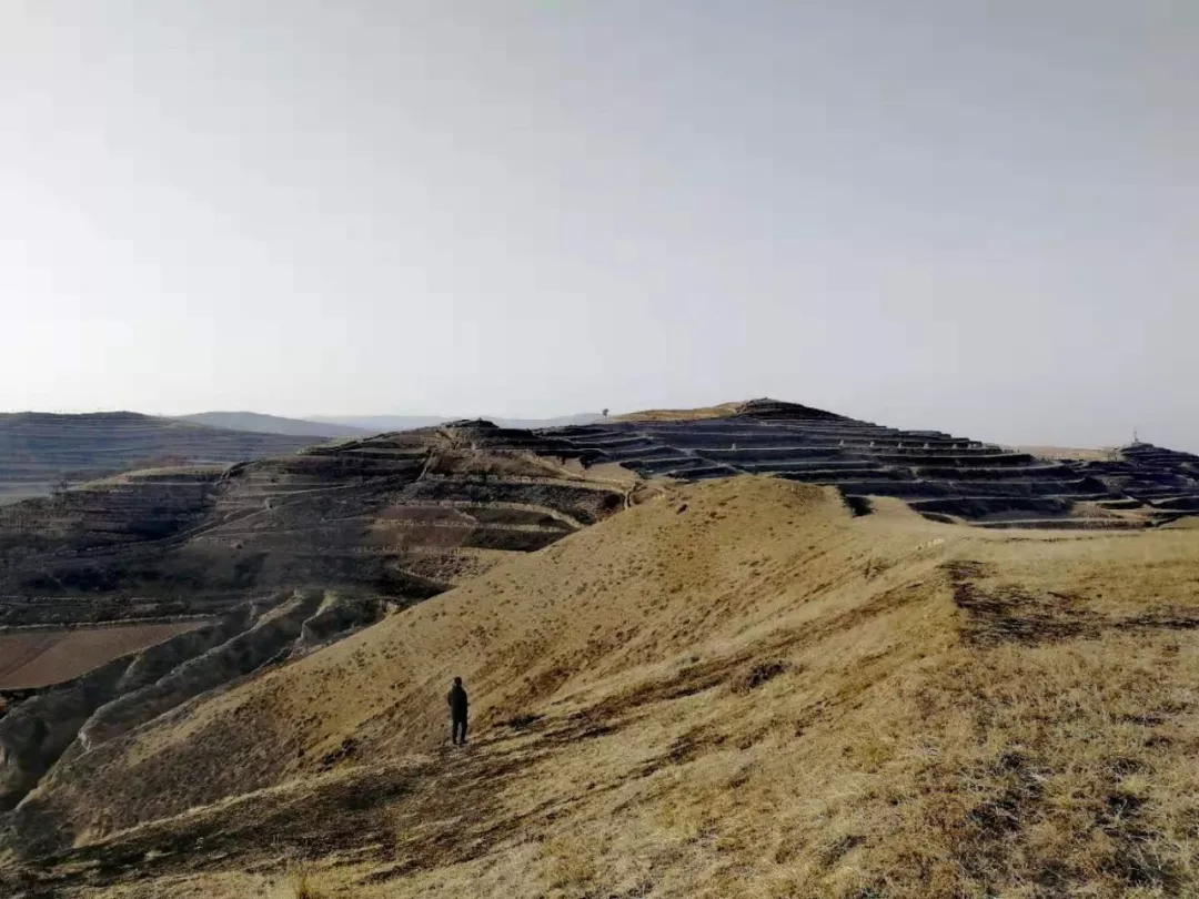 實拍甘肅隴西年家掌與西岔壯觀梯田景象,典型的黃土高原風貌