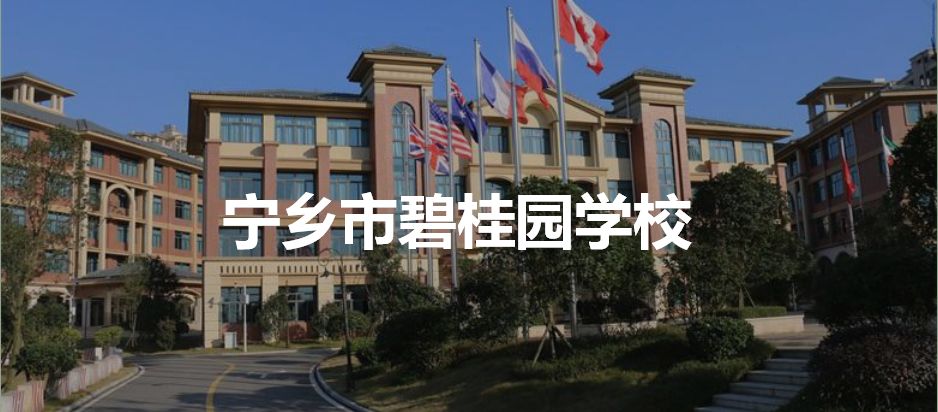 宁乡市碧桂园学校图片