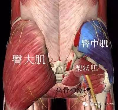 医学科普大腿不同部位疼痛的意义