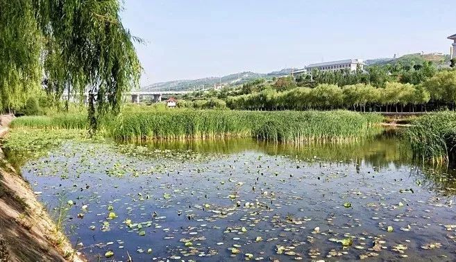 彭阳雷河滩图片