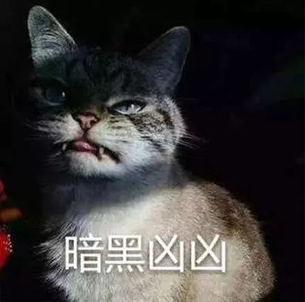 超凶猫咪表情包,还有更凶的表情包吗!