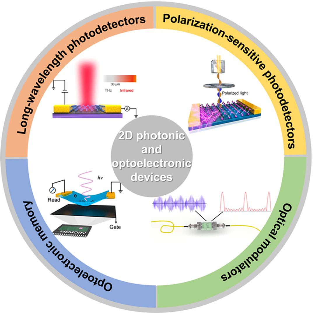 advancedopticalmaterials基于二维材料光子和光电器件的最新进展综述
