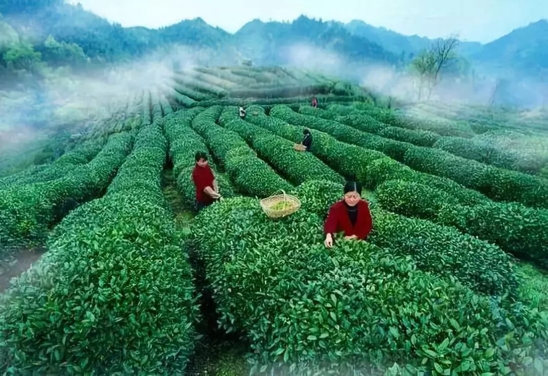 柯永红家庭贫困,在创业扶贫政策支持下,她立起脱贫志,利用家里空余