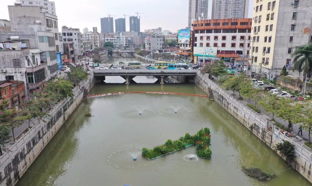 经过一年多的大力整治,廉江河变成了这样.