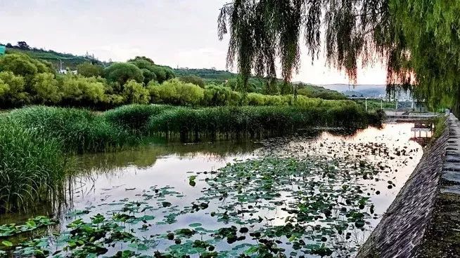 彭阳雷河滩图片