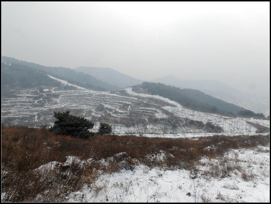 左权县十字岭图片图片