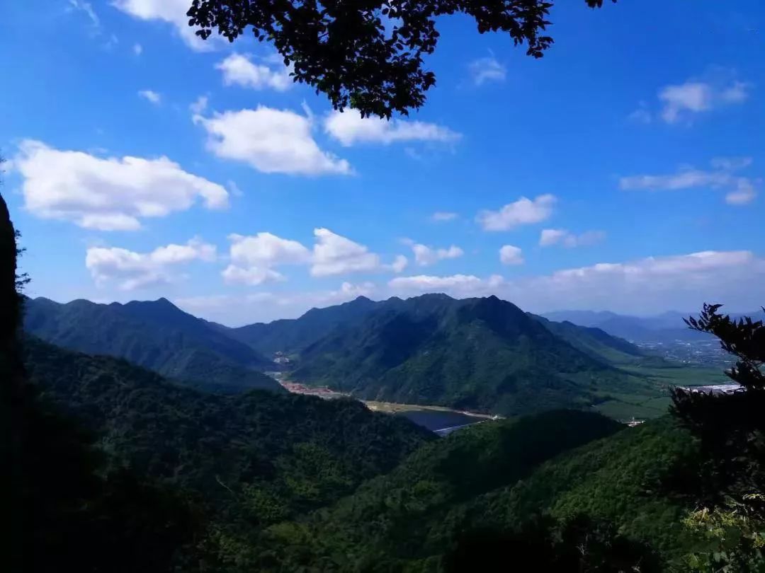 奉化西坞阿峰图片