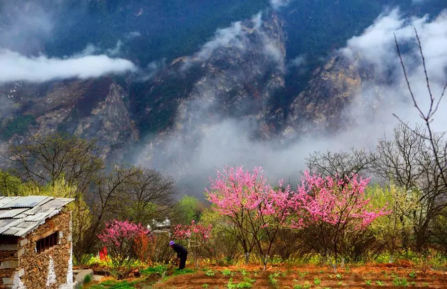 春季旅游最佳去处图片