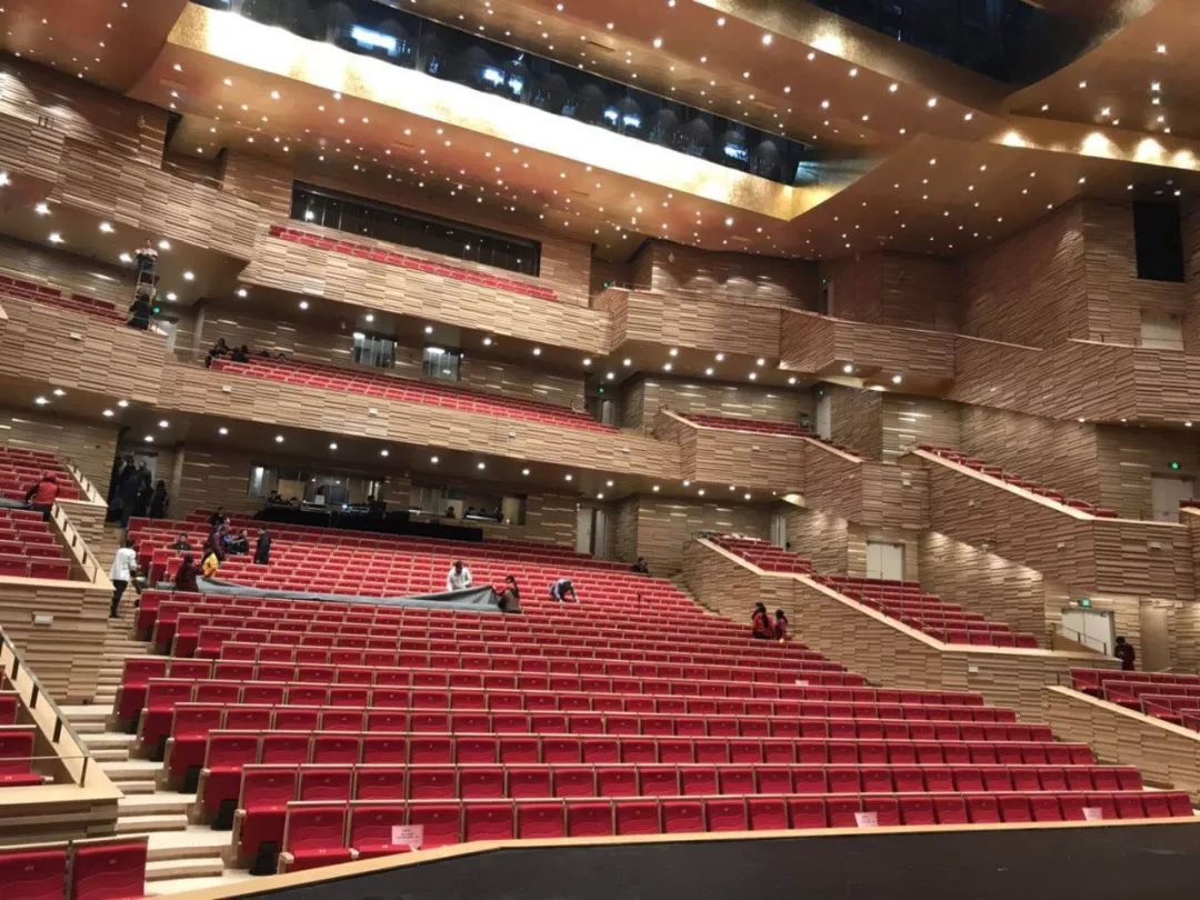 杭州临平大剧院座位图片