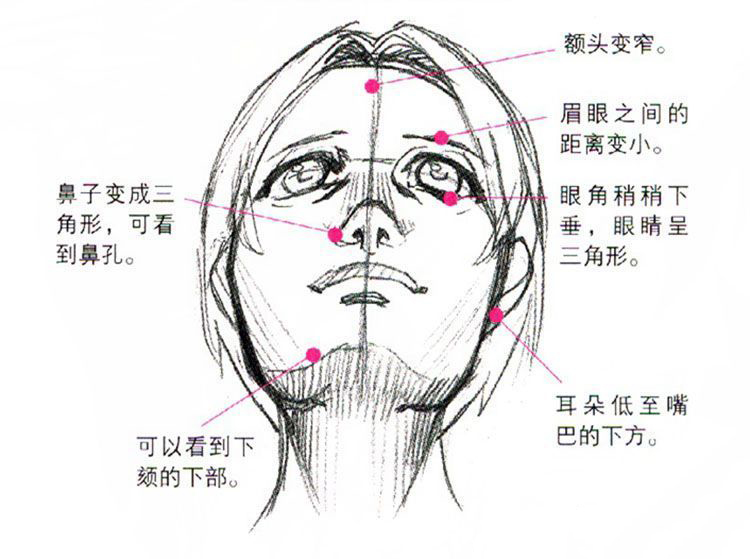 如下图:与正面图的差异仰视图,顾名思义就是以仰角视