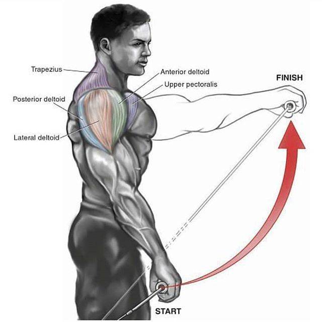 肩关节活动范围较广,相对于其他关节更脆弱,更容易受伤,并且肩部耐力
