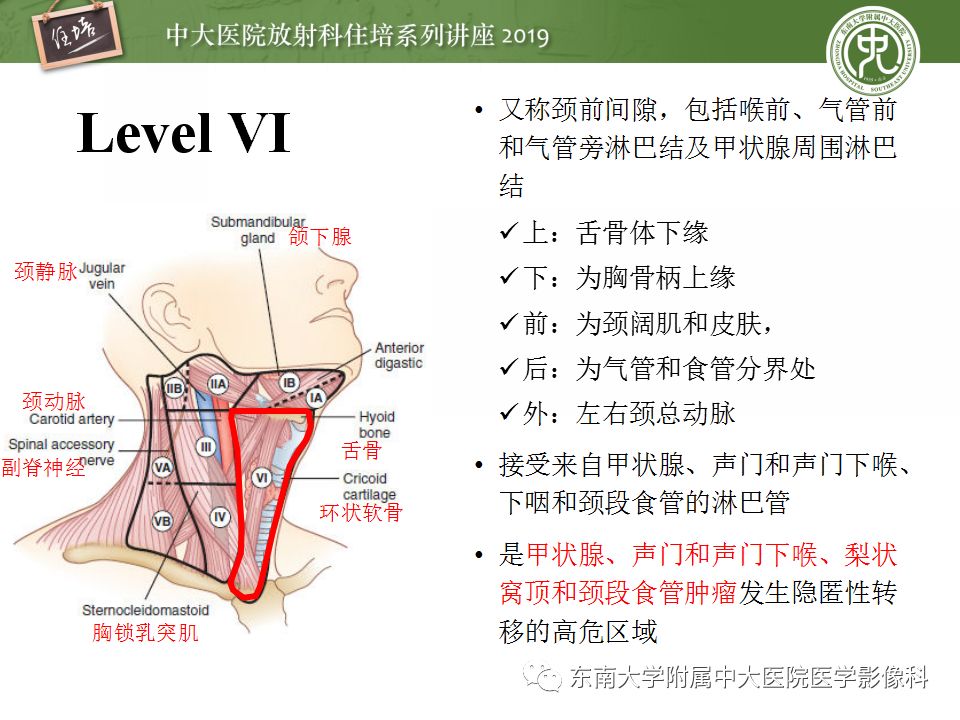 颈部淋巴结超声分区图片