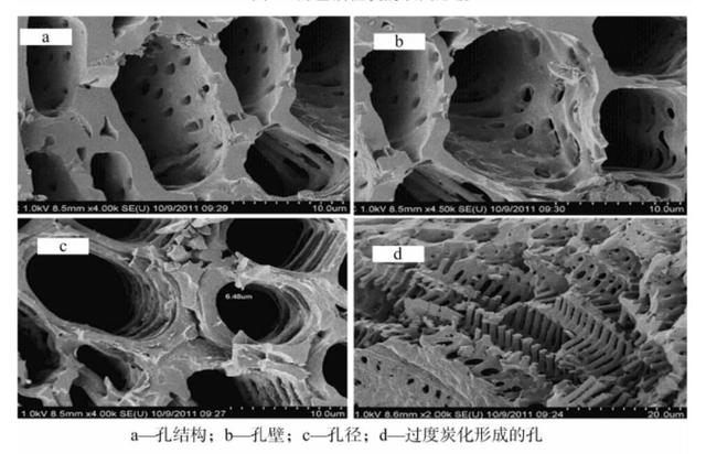 活性炭孔隙结构图片