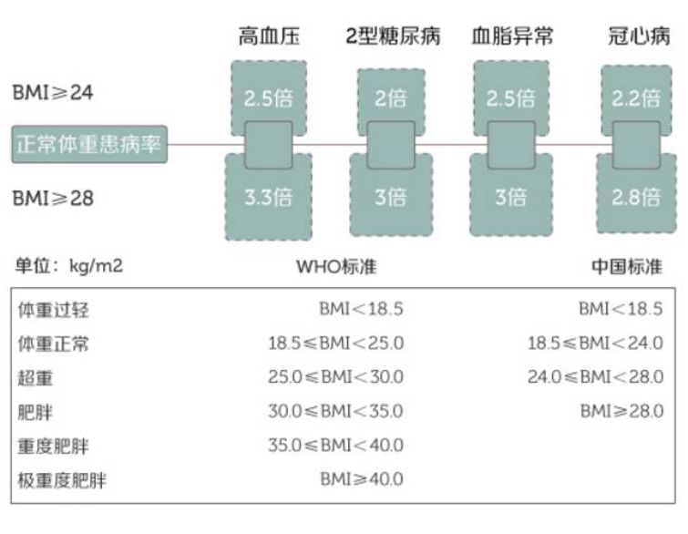 中国人口肥胖_中国肥胖人口占比