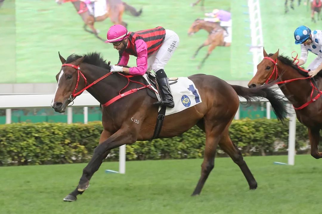 2019寶馬香港打吡大賽參賽馬匹名單揭曉