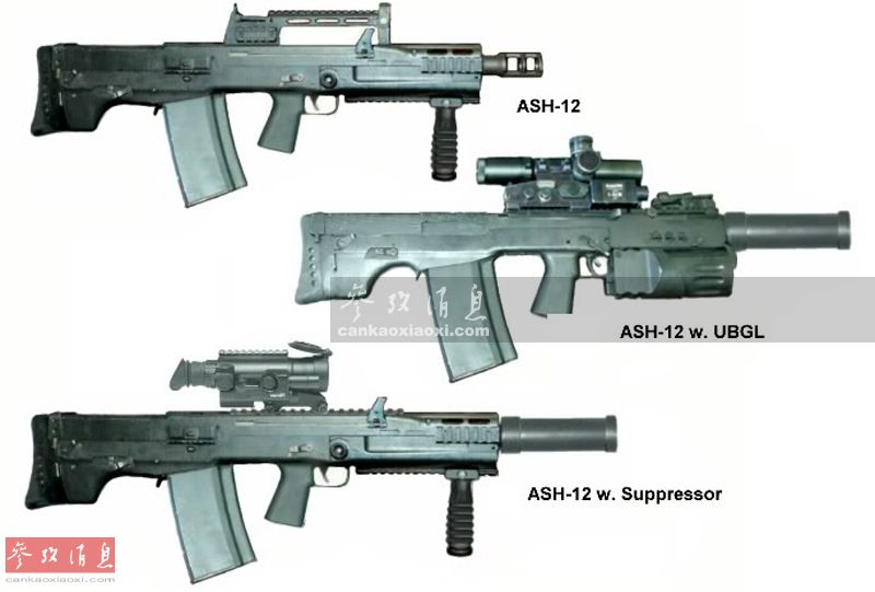ash12.7突击步枪图片
