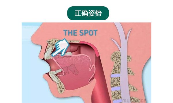 舌头顶在上颚我们的嘴唇闭拢