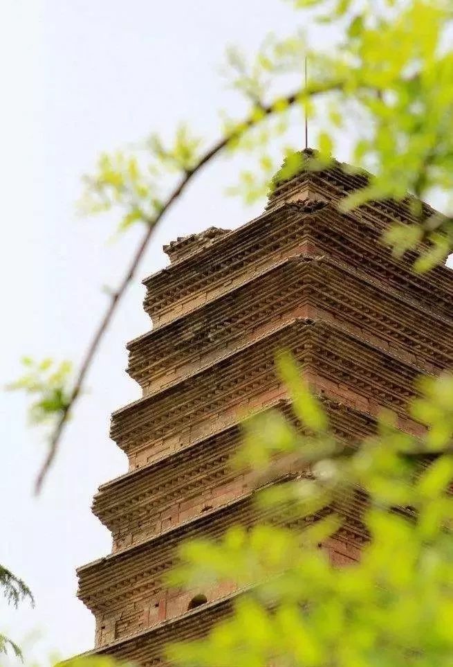 探訪長安香積寺