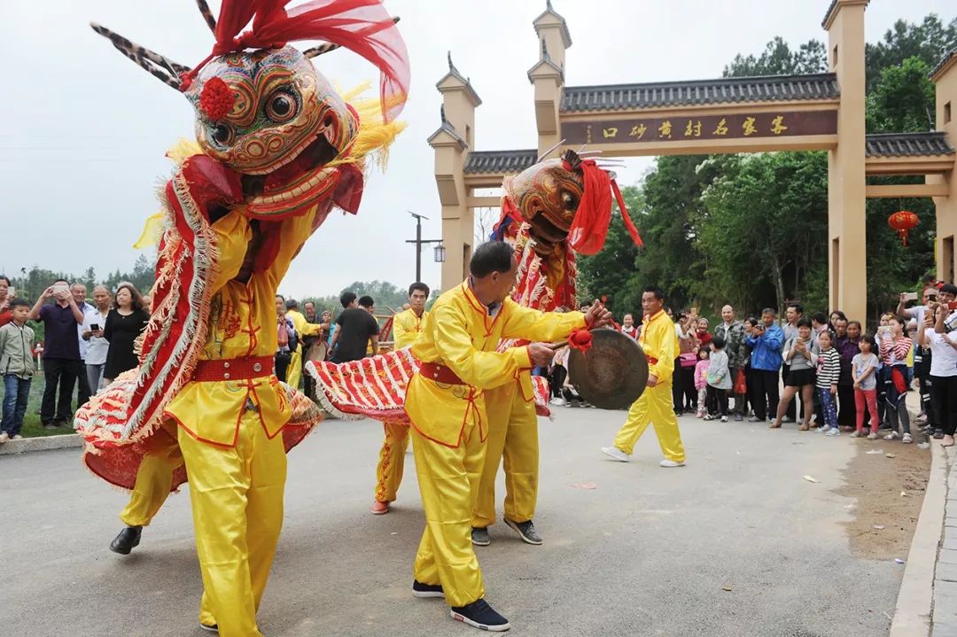 大美定南·非遗篇 瑞狮绕绕到门前,这份情怀我们一直在坚守