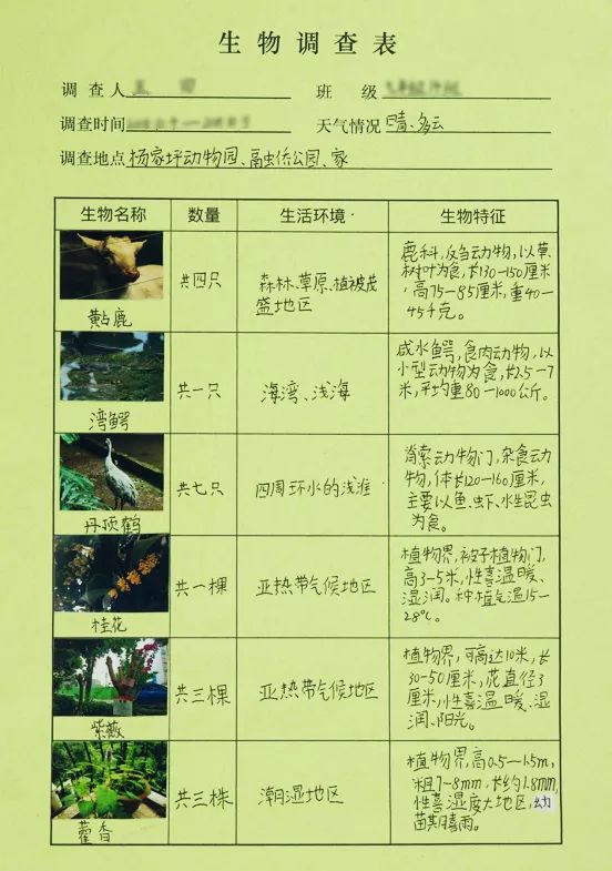 七年级生物调查表图片