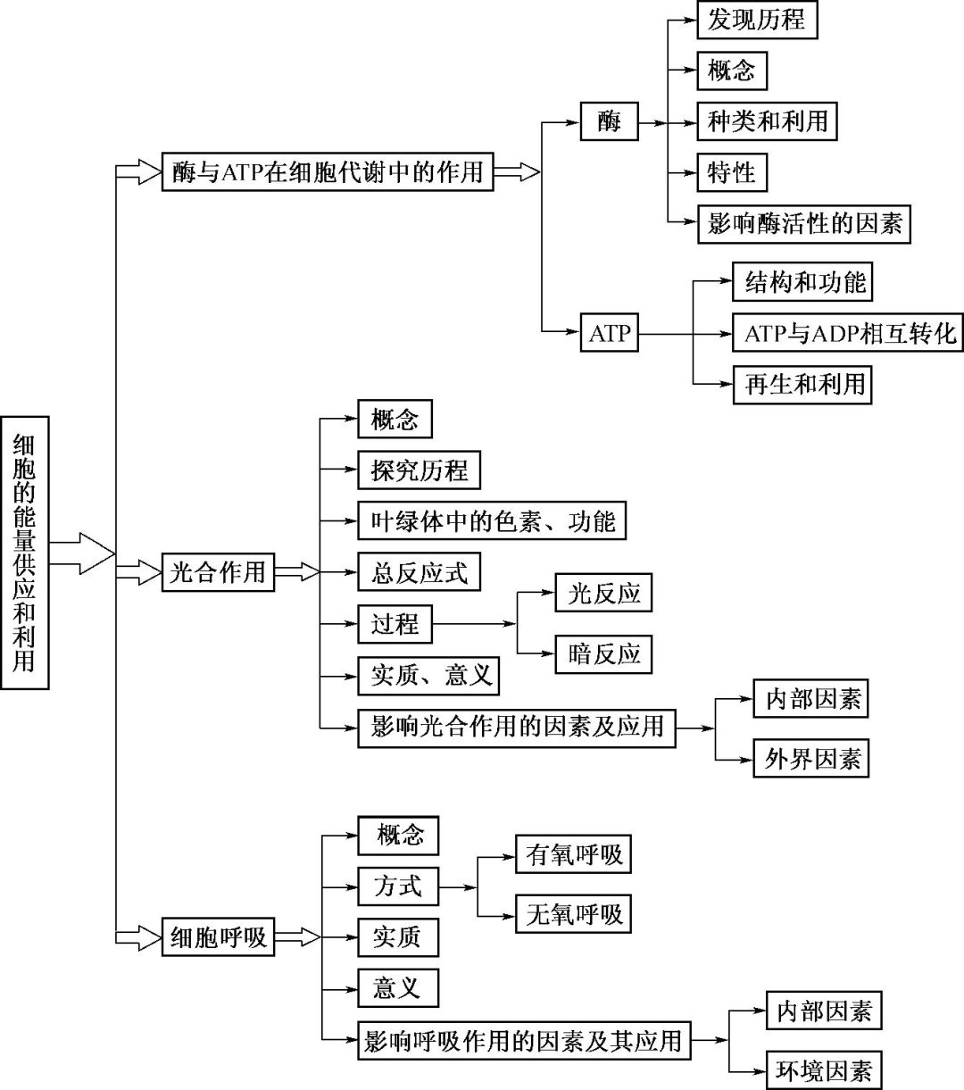 高中生物代谢思维导图图片