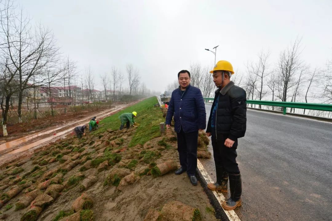 城子镇党委书记田俊冒雨督查项目建设